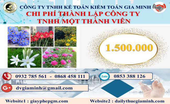 Chi phí thành lập doanh nghiệp TNHH MTV tại Quận Hoàng Mai