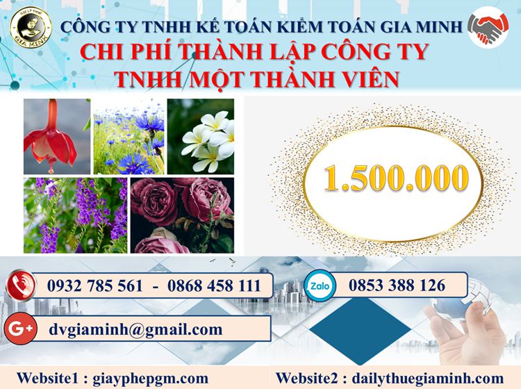 Chi phí thành lập doanh nghiệp TNHH MTV tại Quận Ninh Kiều