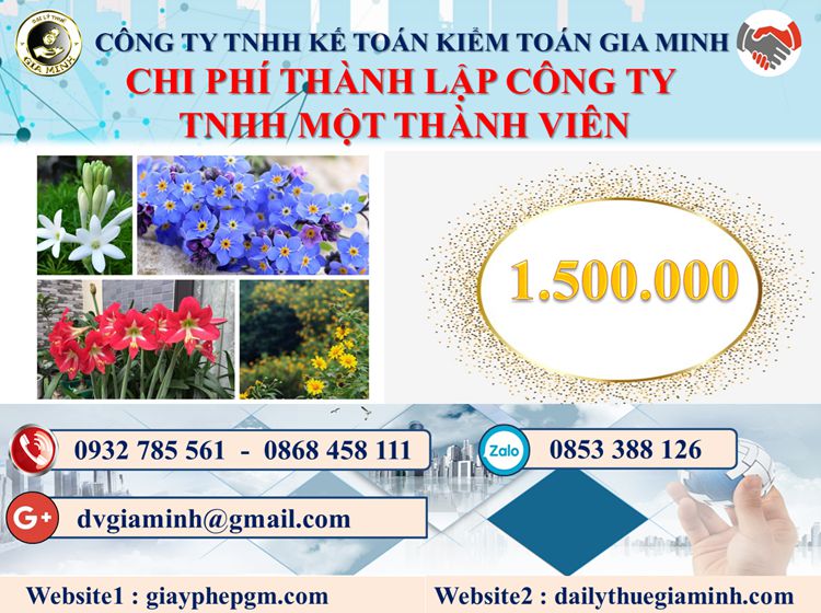 Chi phí thành lập doanh nghiệp TNHH MTV tại Quận Thủ Đức