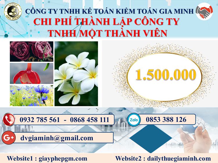 Chi phí thành lập doanh nghiệp TNHH MTV tại Thành phố Hải Phòng