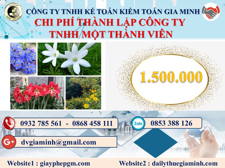 Chi phí thành lập doanh nghiệp TNHH MTV tại Thành phố Thủ Đức