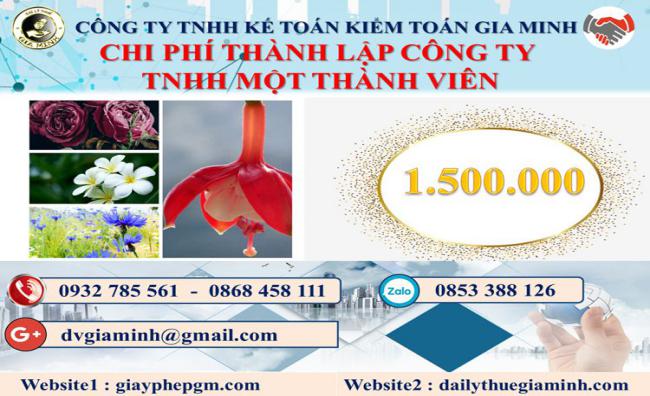 Chi phí thành lập doanh nghiệp TNHH MTV tại Thị xã hương thủy