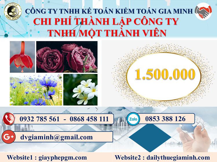 Chi phí thành lập doanh nghiệp TNHH MTV tại Vũng Tàu
