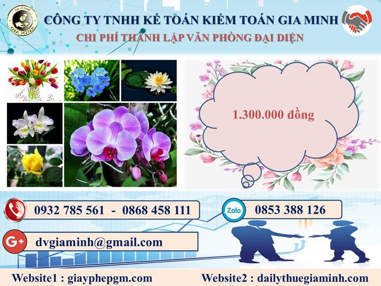 Thành lập văn phòng đại diện tại Quận Bình Thuỷ 5 Chi phí đăng ký văn phòng đại diện tại Quận Bình Thuỷ