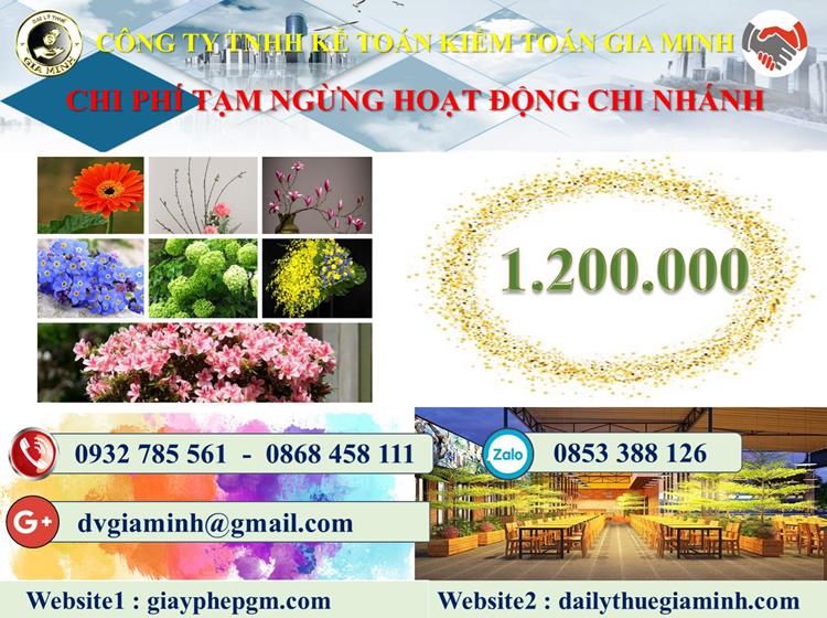 Thủ tục tạm ngừng hoạt động chi nhánh tại Hậu Giang 5 Chi phí thủ tục tạm ngừng hoạt động chi nhánh tại Hậu Giang
