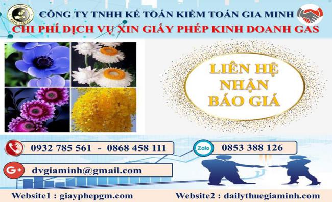 Xin giấy phép kinh doanh gas tại Hà Nam 5 Chi phí xin giấy phép kinh doanh gas tại Hà Nam