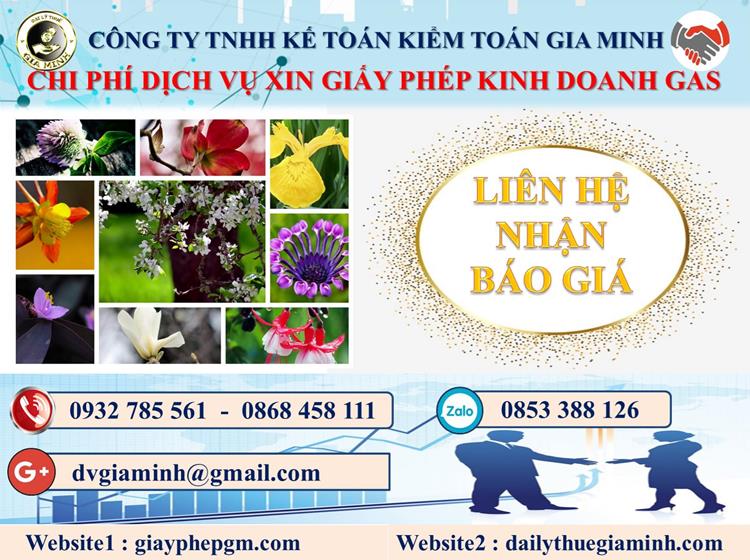 Xin giấy phép kinh doanh gas tại Quận 1 5 Chi phí xin giấy phép kinh doanh gas tại Quận 1
