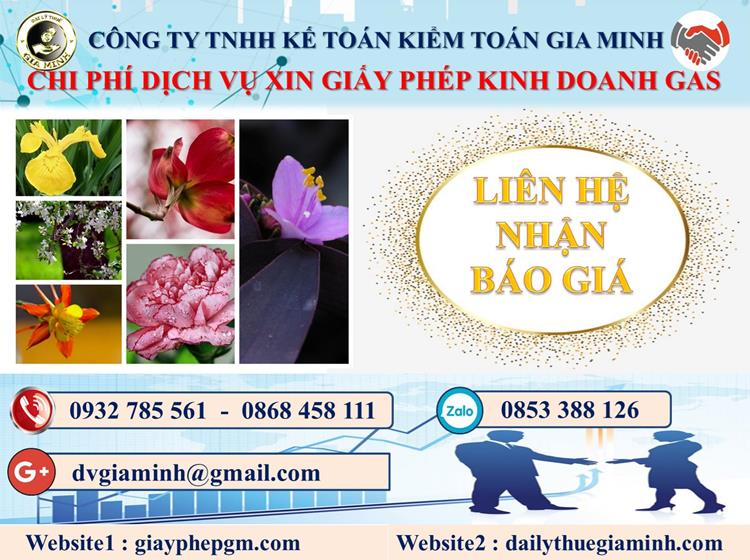 Xin giấy phép kinh doanh gas tại Quận 11 5 Chi phí xin giấy phép kinh doanh gas tại Quận 11