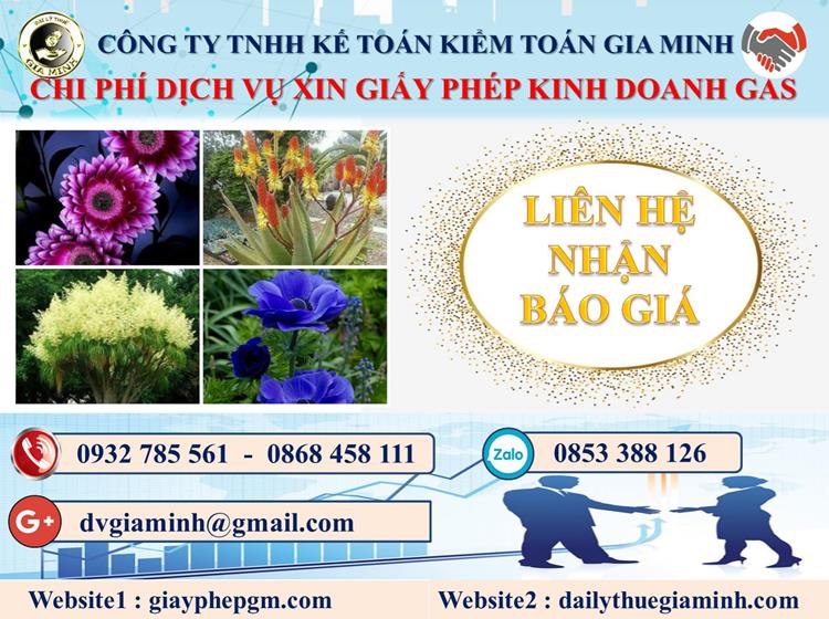 Xin giấy phép kinh doanh gas tại Thái Bình 5 Chi phí xin giấy phép kinh doanh gas tại Thái Bình