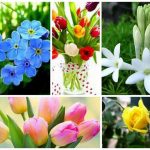 Dịch vụ giải thể doanh nghiệp tại Bắc Ninh 6 Muốn dịch vụ giải thể doanh nghiệp tại Bắc Ninh