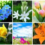 Dịch vụ giải thể doanh nghiệp tại Bình Thuận 6 Muốn dịch vụ giải thể doanh nghiệp tại Bình Thuận