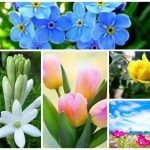 Dịch vụ giải thể doanh nghiệp tại Cần Thơ 6 Muốn dịch vụ giải thể doanh nghiệp tại Cần Thơ