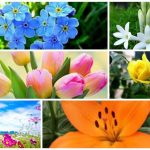 Dịch vụ giải thể doanh nghiệp tại Điện Biên 6 Muốn dịch vụ giải thể doanh nghiệp tại Điện Biên