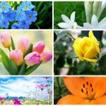 Dịch Vụ Giải Thể Doanh Nghiệp Tại Hà Tĩnh – Hướng Dẫn Toàn Diện 2025 8 Muốn dịch vụ giải thể doanh nghiệp tại Hà Tĩnh