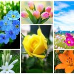 Dịch vụ giải thể doanh nghiệp tại Hải Dương 6 Muốn dịch vụ giải thể doanh nghiệp tại Hải Dương