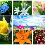 Dịch vụ giải thể doanh nghiệp tại Huyện An Lão 6 Muốn dịch vụ giải thể doanh nghiệp tại Huyện An Lão