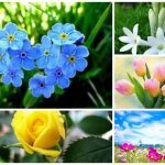 Dịch vụ giải thể doanh nghiệp tại Huyện Chương Mỹ 6 Muốn dịch vụ giải thể doanh nghiệp tại Huyện Chương Mỹ