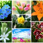 Dịch vụ giải thể doanh nghiệp tại Huyện Cờ Đỏ 6 Muốn dịch vụ giải thể doanh nghiệp tại Huyện Cờ Đỏ