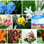 Dịch vụ giải thể doanh nghiệp tại Huyện Củ Chi 6 Muốn dịch vụ giải thể doanh nghiệp tại Huyện Củ Chi