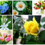 Dịch vụ giải thể doanh nghiệp tại Huyện đảo Bạch Long Vĩ 6 Muốn dịch vụ giải thể doanh nghiệp tại Huyện đảo Bạch Long Vĩ