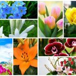 Dịch vụ giải thể doanh nghiệp tại Huyện Gia Lâm uy tín – nhanh gọn – đúng luậ 6 Muốn dịch vụ giải thể doanh nghiệp tại Huyện Gia Lâm
