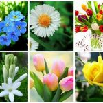 Dịch vụ giải thể doanh nghiệp tại Huyện Hòa Vang 6 Muốn dịch vụ giải thể doanh nghiệp tại Huyện Hòa Vang