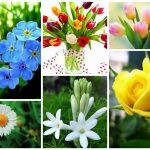 Dịch vụ giải thể doanh nghiệp tại Huyện Hoài Đức 6 Muốn dịch vụ giải thể doanh nghiệp tại Huyện Hoài Đức