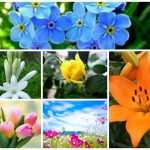 Dịch vụ giải thể doanh nghiệp tại Huyện Hoàng Sa 6 Muốn dịch vụ giải thể doanh nghiệp tại Huyện Hoàng Sa