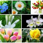 Dịch vụ giải thể doanh nghiệp tại Huyện Mê Linh 6 Muốn dịch vụ giải thể doanh nghiệp tại Huyện Mê Linh