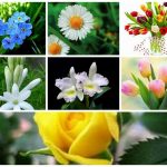 Dịch vụ giải thể doanh nghiệp tại Huyện Mỹ Đức 6 Muốn dịch vụ giải thể doanh nghiệp tại Huyện Mỹ Đức