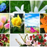 Dịch vụ giải thể doanh nghiệp tại Huyện Phú Xuyên 6 Muốn dịch vụ giải thể doanh nghiệp tại Huyện Phú Xuyên