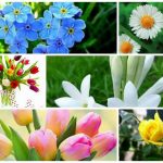 Dịch vụ giải thể doanh nghiệp tại Huyện Sóc Sơn 6 Muốn dịch vụ giải thể doanh nghiệp tại Huyện Sóc Sơn