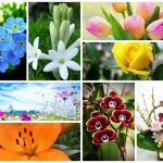 Dịch vụ giải thể doanh nghiệp tại Huyện Thạch Thất 6 Muốn dịch vụ giải thể doanh nghiệp tại Huyện Thạch Thất