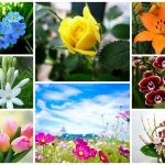 Dịch vụ giải thể doanh nghiệp tại Huyện Thanh Oai 6 Muốn dịch vụ giải thể doanh nghiệp tại Huyện Thanh Oai
