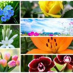 Dịch vụ giải thể doanh nghiệp tại Huyện Thới Lai 6 Muốn dịch vụ giải thể doanh nghiệp tại Huyện Thới Lai