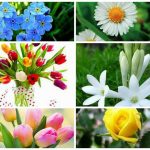 Muốn dịch vụ giải thể doanh nghiệp tại Huyện Thường Tín