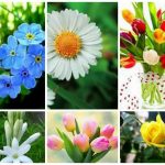 Muốn dịch vụ giải thể doanh nghiệp tại Huyện Thủy Nguyên