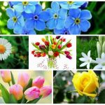 Dịch vụ giải thể doanh nghiệp tại Huyện Từ Liêm 6 Muốn dịch vụ giải thể doanh nghiệp tại Huyện Từ Liêm