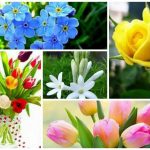 Dịch vụ giải thể doanh nghiệp tại Huyện Vĩnh Bảo 6 Muốn dịch vụ giải thể doanh nghiệp tại Huyện Vĩnh Bảo