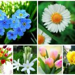 Dịch vụ giải thể doanh nghiệp tại Huyện Vĩnh Thạnh 6 Muốn dịch vụ giải thể doanh nghiệp tại Huyện Vĩnh Thạnh