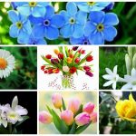 Dịch vụ giải thể doanh nghiệp tại Khánh Hòa 6 Muốn dịch vụ giải thể doanh nghiệp tại Khánh Hòa