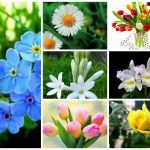 Dịch vụ giải thể doanh nghiệp tại Kiên Giang 6 Muốn dịch vụ giải thể doanh nghiệp tại Kiên Giang