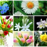 Dịch vụ giải thể doanh nghiệp tại Nghệ An 6 Muốn dịch vụ giải thể doanh nghiệp tại Nghệ An