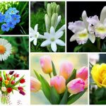 Muốn dịch vụ giải thể doanh nghiệp tại Nha Trang
