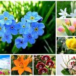 Dịch vụ giải thể doanh nghiệp tại Ninh Thuận 6 Muốn dịch vụ giải thể doanh nghiệp tại Ninh Thuận
