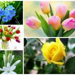 Dịch vụ giải thể doanh nghiệp tại Phú Yên 6 Muốn dịch vụ giải thể doanh nghiệp tại Phú Yên