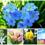 Dịch vụ giải thể doanh nghiệp tại Quận 12 6 Muốn dịch vụ giải thể doanh nghiệp tại Quận 12