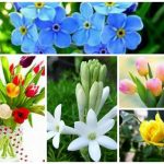Dịch vụ giải thể doanh nghiệp tại Quận 2 6 Muốn dịch vụ giải thể doanh nghiệp tại Quận 2