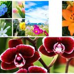 Dịch vụ giải thể doanh nghiệp tại Quận Ba Đình 6 Muốn dịch vụ giải thể doanh nghiệp tại Quận Ba Đình
