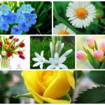 Dịch vụ giải thể doanh nghiệp tại Quận Bắc Từ Liêm 6 Muốn dịch vụ giải thể doanh nghiệp tại Quận Bắc Từ Liêm
